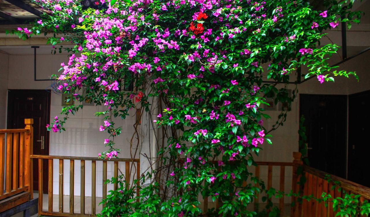 Dali Lao Shay Youth Hostel Esterno foto