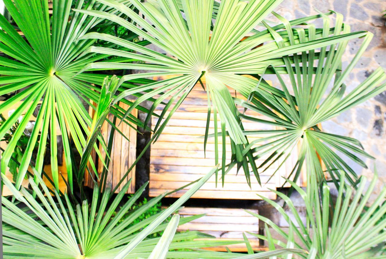 Dali Lao Shay Youth Hostel Esterno foto